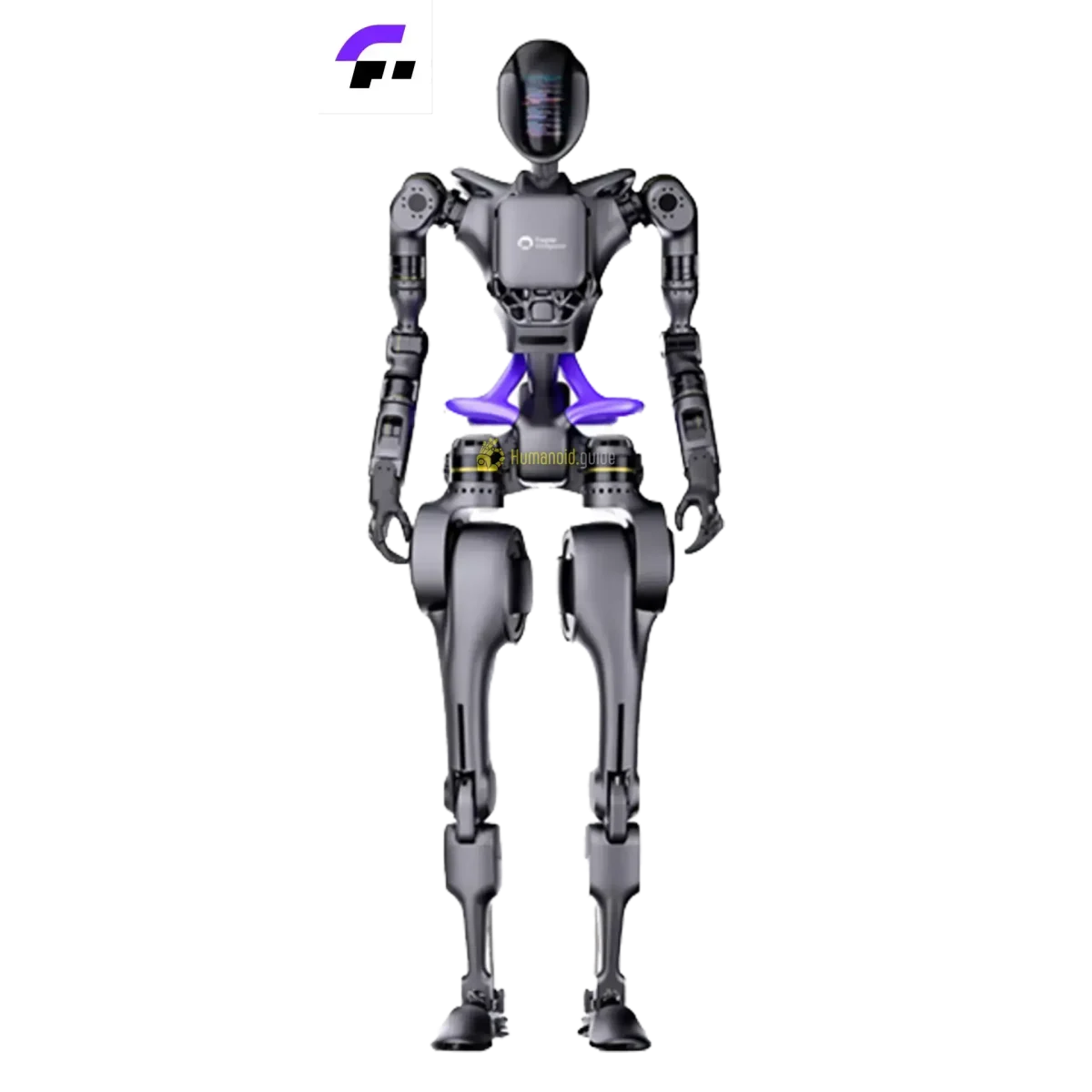 Fourier Intelligence GR-1